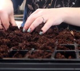 how to start seeds indoors, Setting up the seed starting kit