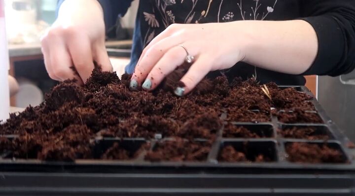 how to start seeds indoors, Setting up the seed starting kit