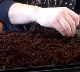 how to start seeds indoors, How to grow your own food