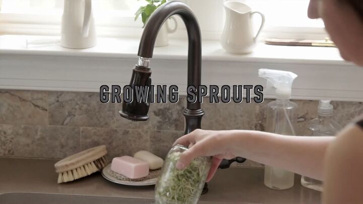 organizing mason jars, Growing sprouts in a Mason jar