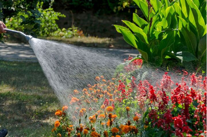7 tips for gardening success without breaking the bank, We probably don t have to tell you that watering your plants regularly is crucial to good gardening