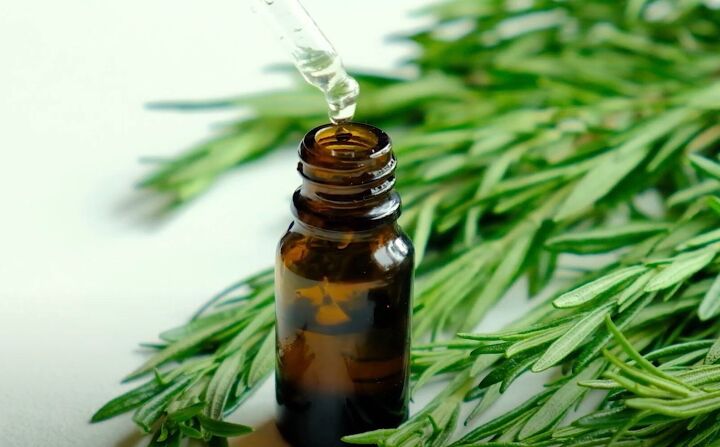 old home remedies, Using rosemary as a home remedy
