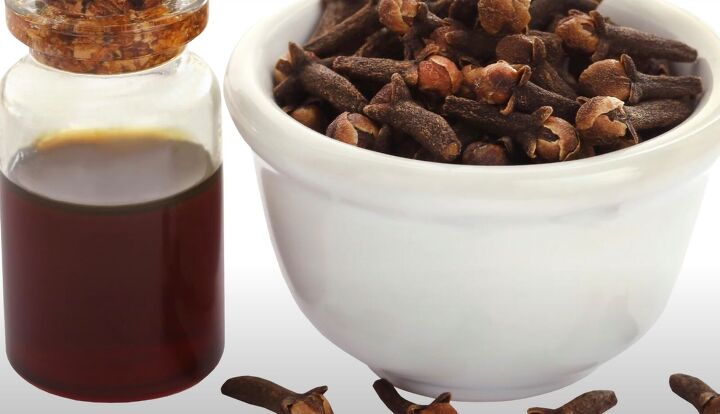old home remedies, Clove oil
