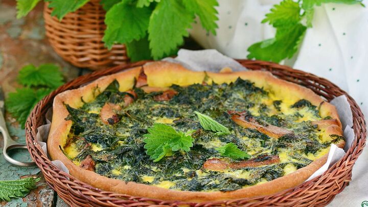 how to save money in the kitchen, Using nettles in a quiche