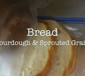 fridge organization, Sourdough and sprouted grain bread