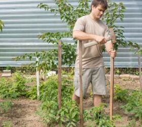 creative and frugal tomato staking techniques for homesteaders, Creative and Frugal Tomato Staking Techniques for Homesteaders