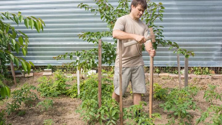 creative and frugal tomato staking techniques for homesteaders, Creative and Frugal Tomato Staking Techniques for Homesteaders