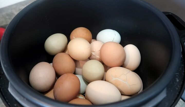 things i no longer buy, Chicken eggs from home