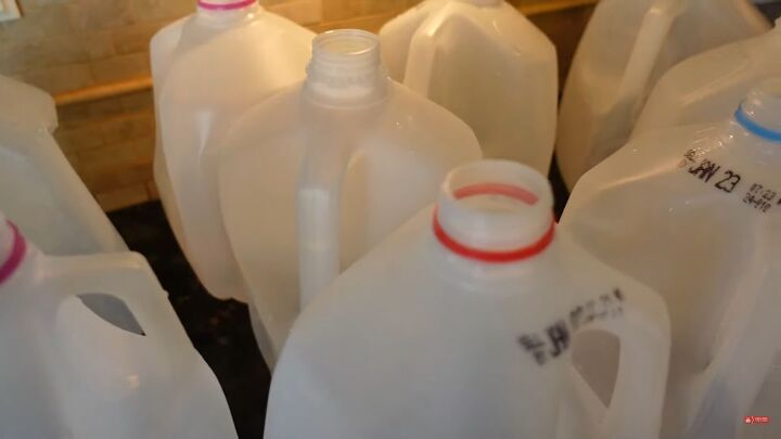 milk jug seed starting, Milk jug