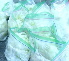 Putting cabbage in Ziploc bags