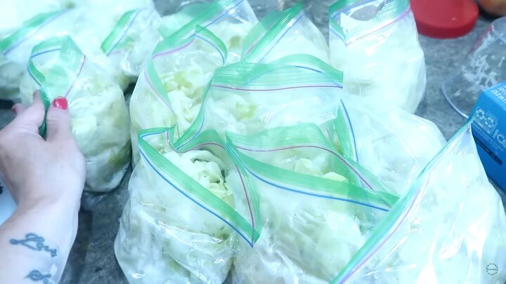 Putting cabbage in Ziploc bags