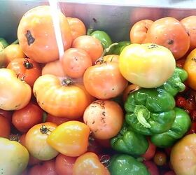 homestead produce, Tomatoes and peppers