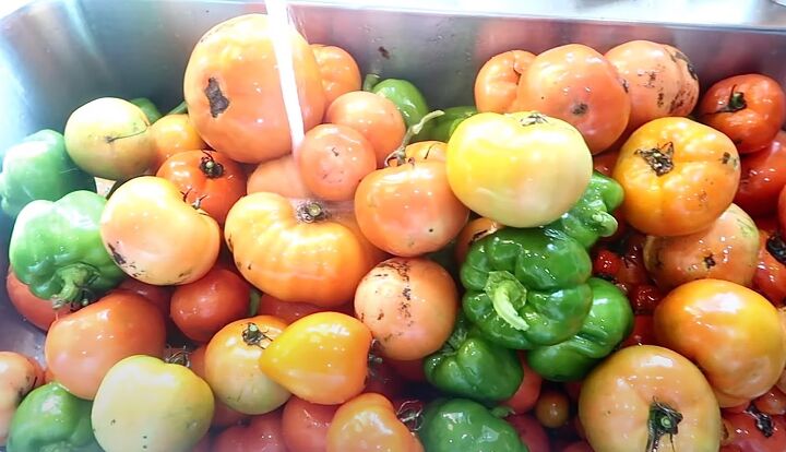 homestead produce, Tomatoes and peppers
