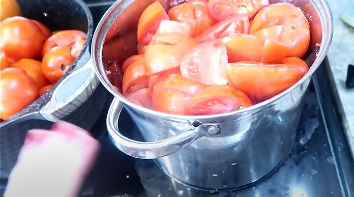 homestead produce, Tomatoes in a pot