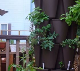 balcony vegetable garden, Vertical plant pots
