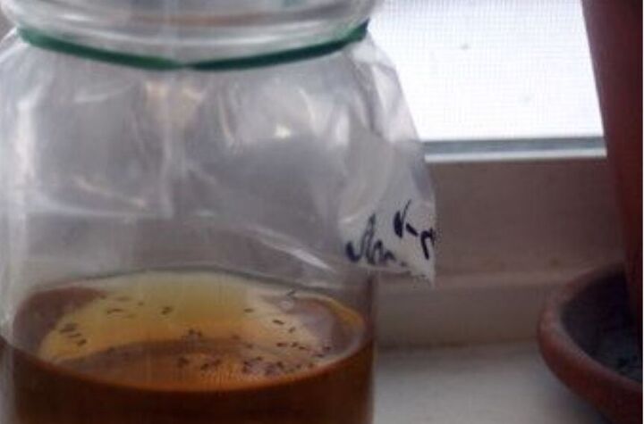 10 surprising uses of apple cider vinegar you never knew about, ACV is a great fruit fly trap