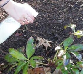 This Dawn® hack is the perfect, frugal way to kill weeds