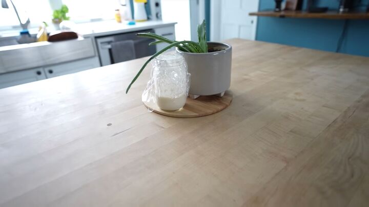 Plant on counter