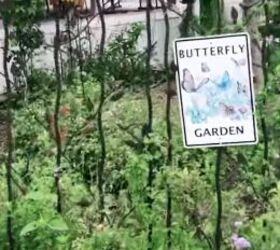 early retirement, Butterfly garden