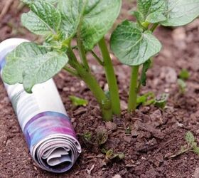 The best easy gardening tips that won&#39;t break the bank!