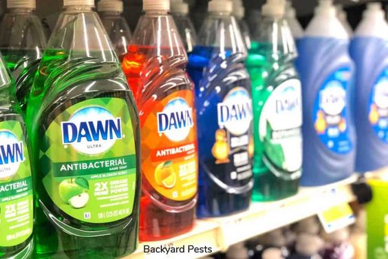Dawn soap bottles at the store