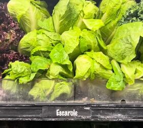 Try this delicious & filling vegetable pasta recipe from the Great Depression