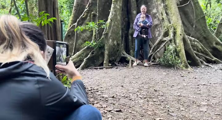 how minimalism saves money, Taking a photograph by a tree