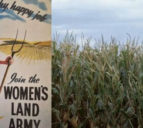 Women's Land Army poster