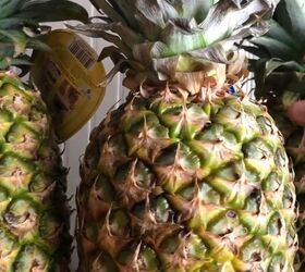 prepper pantry, Pineapple