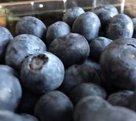 prepper pantry, Blueberries