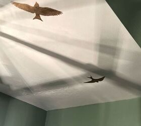diy weekend projects, Birds printed on the ceiling