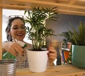 frugal living habits, Watering plants