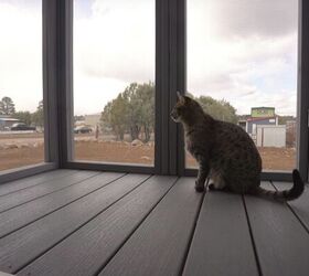 tiny house tour, Cat