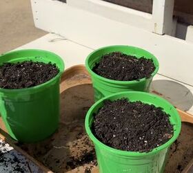 dollar tree organization hack, Plant pots