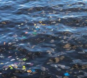 How to reduce plastic usage for a smaller carbon footprint