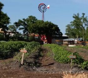 tiny home village, Tiny home village