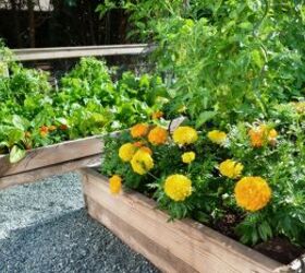 8 super clever vegetable gardening tips for the lazy gardener