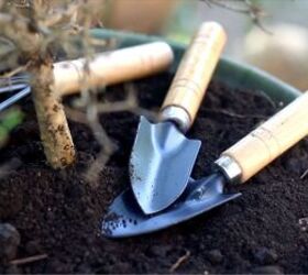 store bought vs catalog seeds, Gardening trowel