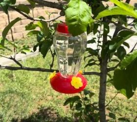 patio makeover, Hummingbird feeder