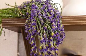 45 wonderful ways to use dried lavender around the house