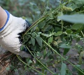 Get rid of those pesky weeds!