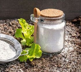 Diatomaceous earth