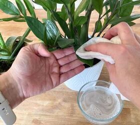 Start cleaning your plant leaves & make them look WAY better