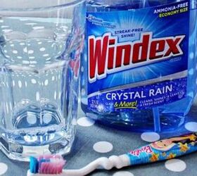 10 surprising and unexpected ways to use Windex™ you probably overlooked (but now you won't!)