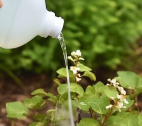 10 surprising ways to kill weeds maintain your garden