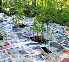 Newspapers on the grass!