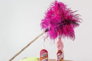 7 house cleaning hacks that don't actually work at all