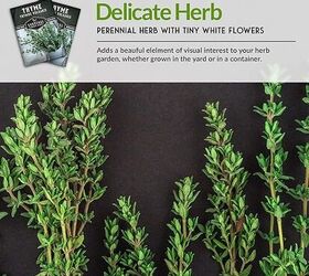 herb gardening 101 the best herbs to plant plus tips for growing