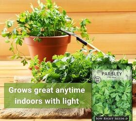 herb gardening 101 the best herbs to plant plus tips for growing