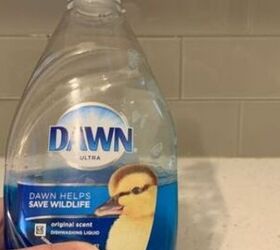 Dawn soap 